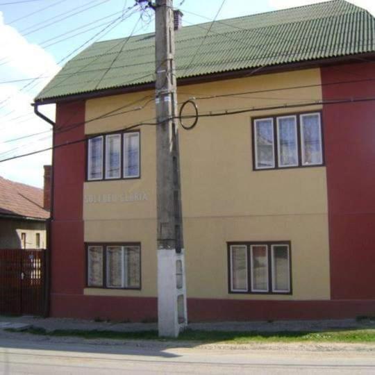 Pensiunea Shalom Sincraiu Bagian luar foto